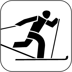 icon skilanglauf schwarz auf weiss 250px